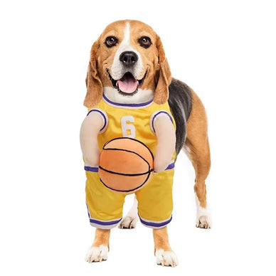 "Transform Your Pup into a Star Player!"