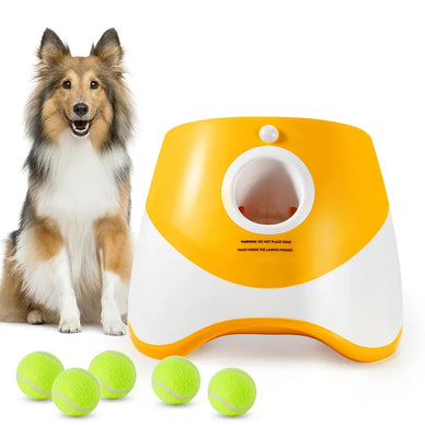 "Unleash Joyful Playtime for Your Furry Friend!"